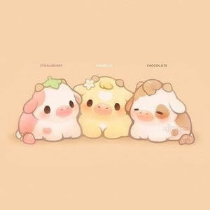 Meet your Posher, Fabiola